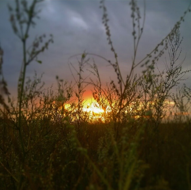 The Manitoba prairie, at sunset.